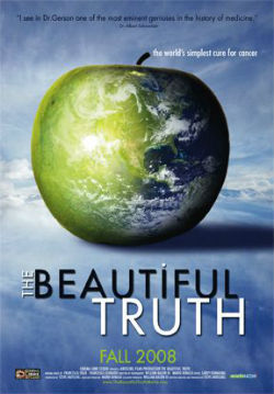 the beautiful truth documentary